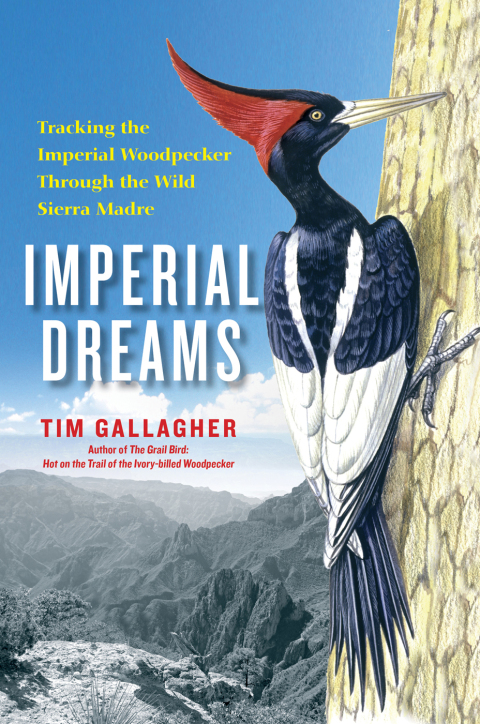 Cover image for book Imperial Dreams
