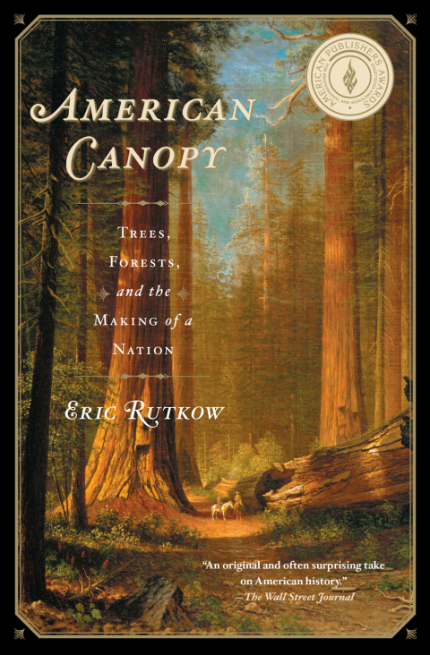 Cover image for book American Canopy
