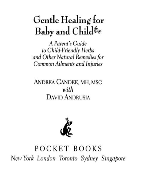 Cover image for book Gentle Healing for Baby and Child