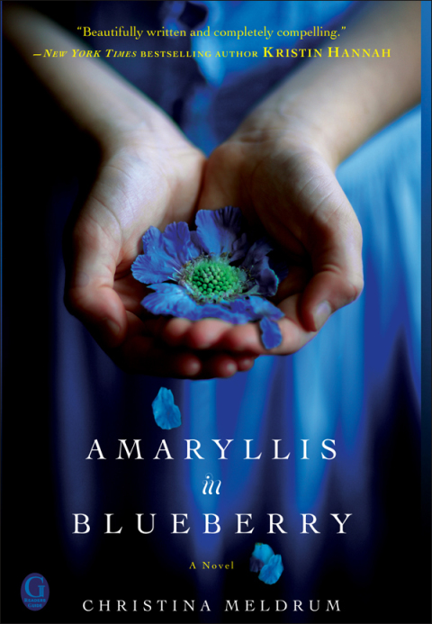 Cover image for book Amaryllis in Blueberry