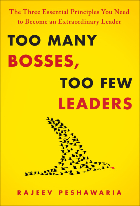 Cover image for book Too Many Bosses, Too Few Leaders