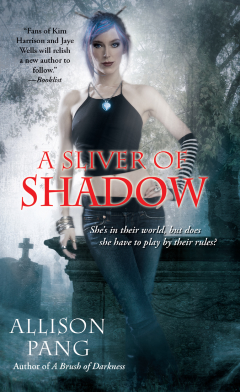 Cover image for book A Sliver of Shadow