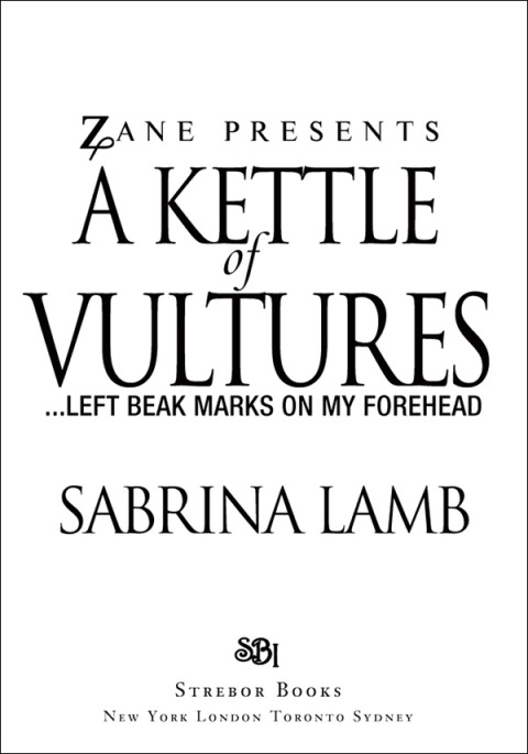 Cover image for book A Kettle of Vultures