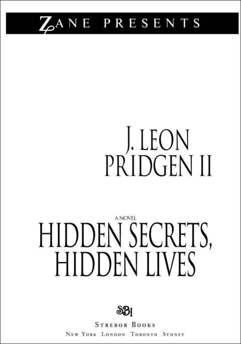 Cover image for book Hidden Secrets, Hidden Lives