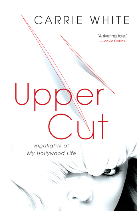 Cover image for book Upper Cut