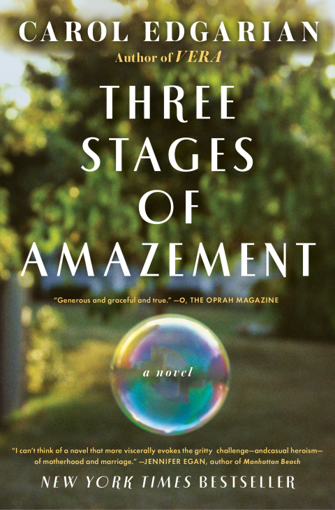 Cover image for book Three Stages of Amazement