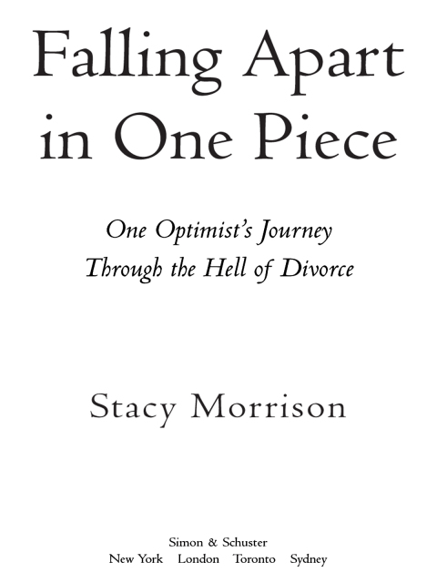 Cover image for book Falling Apart in One Piece