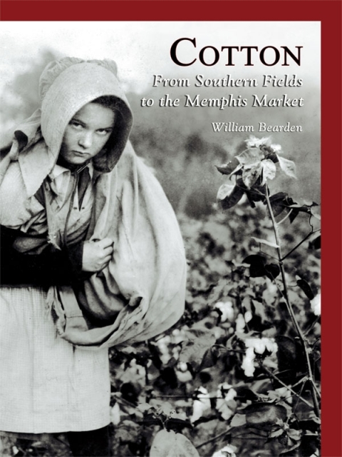 Cover image for book Cotton