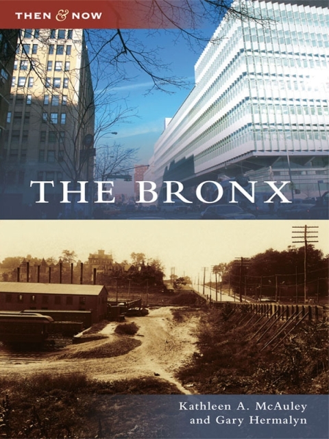 Cover image for book The Bronx