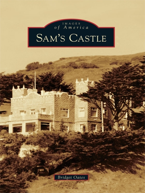 Cover image for book Sam's Castle