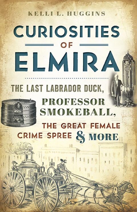 Cover image for book Curiosities of Elmira