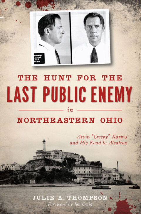 Cover image for book The Hunt for the Last Public Enemy in Northeastern Ohio