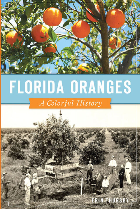 Cover image for book Florida Oranges