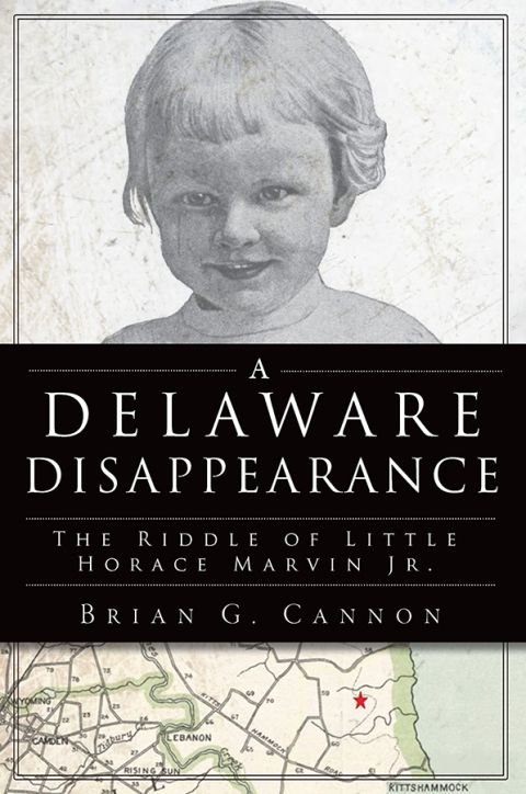 Cover image for book A Delaware Disappearance