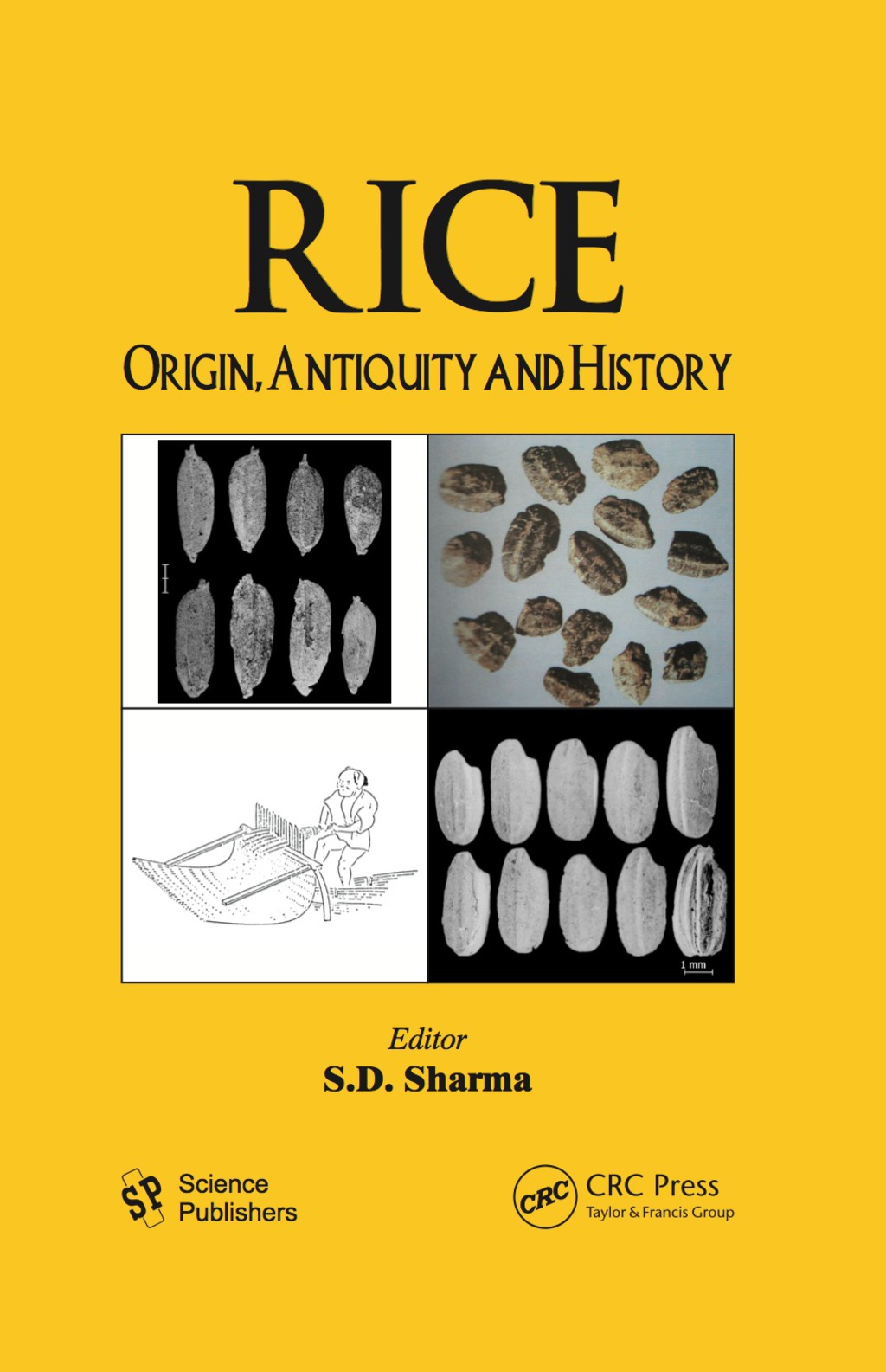 Rice - 1st Edition (eBook)