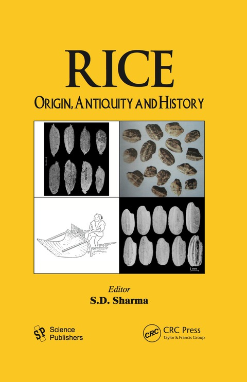 Cover image for book Rice