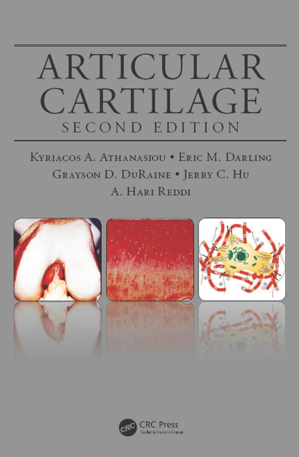 Articular Cartilage (eBook) - Kyriacos A. Athanasiou; Eric M. Darling; Jerry C. Hu; Grayson D. DuRaine; A. Hari Reddi