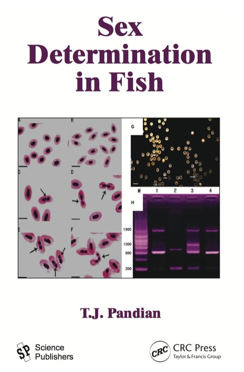 Cover image for book Sex Determination in Fish