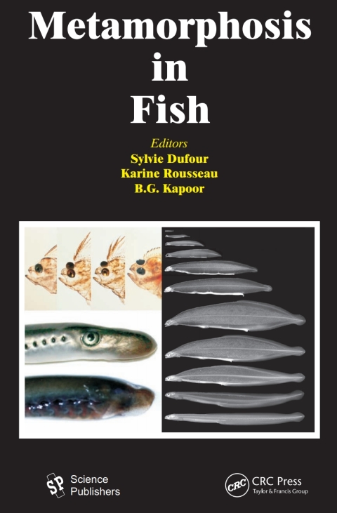 Cover image for book Metamorphosis in Fish
