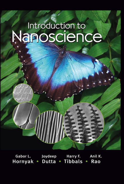 Introduction to Nanoscience 