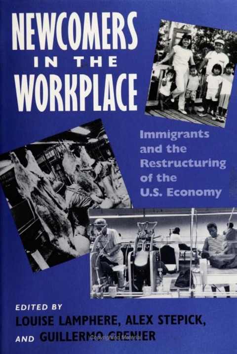 Cover image for book Newcomers In Workplace