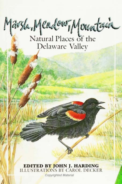 Cover image for book Marsh Meadow Mountain