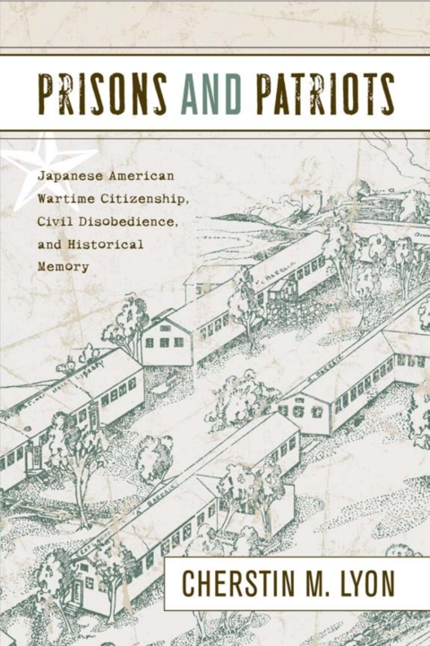 Cover image for book Prisons and Patriots