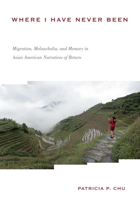Cover image for book Where I Have Never Been