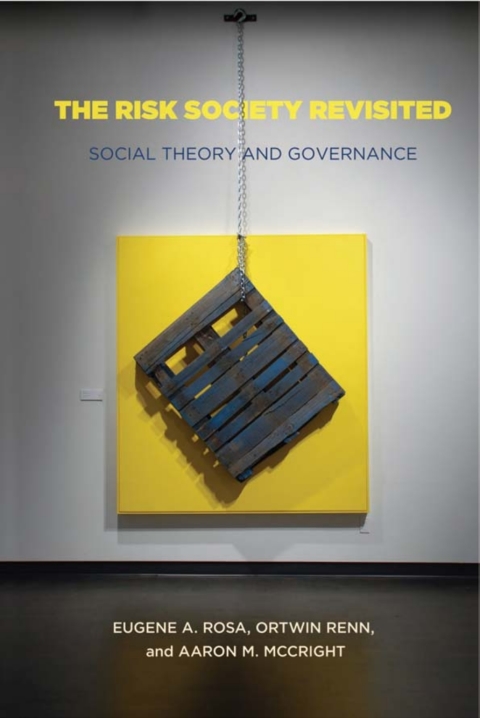 Cover image for book The Risk Society Revisited