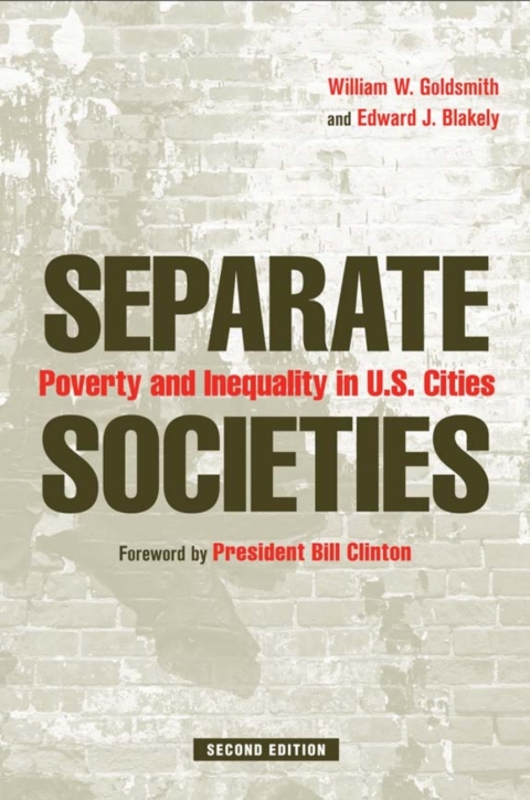 Cover image for book Separate Societies