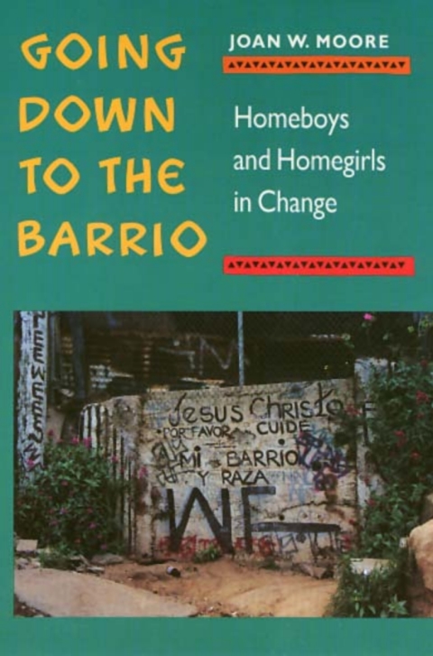 Cover image for book Going Down To The Barrio