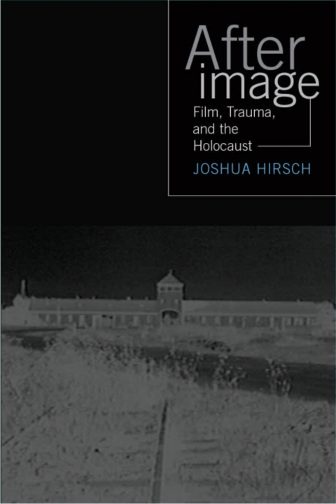 Cover image for book Afterimage