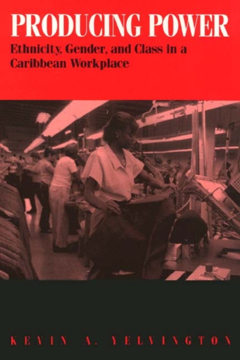 Cover image for book Producing Power