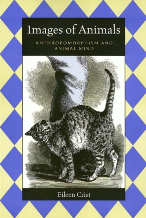 Cover image for book Images Of Animals