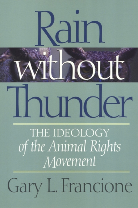 Cover image for book Rain Without Thunder