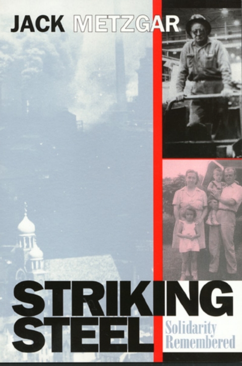 Cover image for book Striking Steel