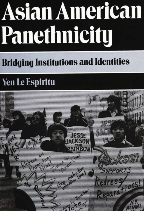 Cover image for book Asian American Panethnicity