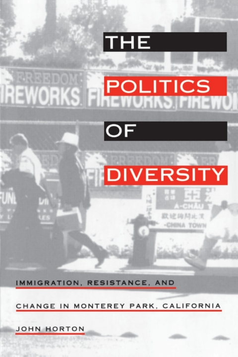 Cover image for book The Politics of Diversity