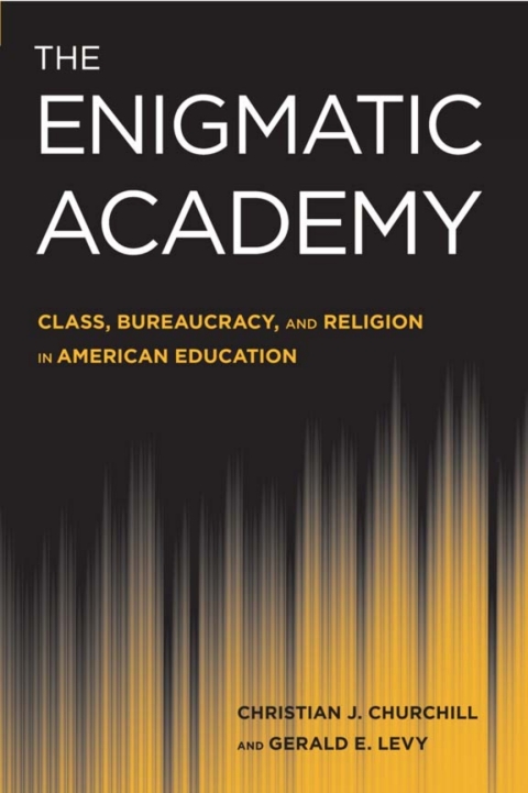 Cover image for book The Enigmatic Academy