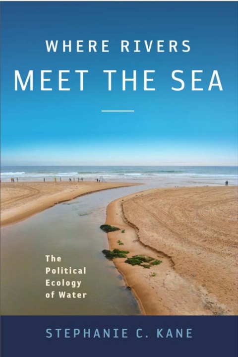 Cover image for book Where Rivers Meet the Sea