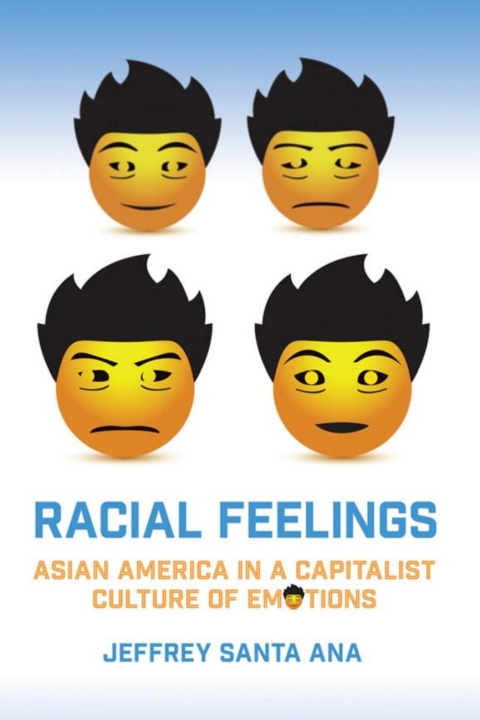 Cover image for book Racial Feelings