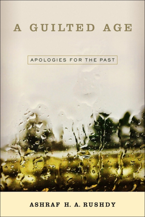 Cover image for book A Guilted Age