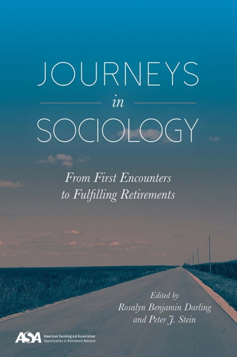 Cover image for book Journeys in Sociology