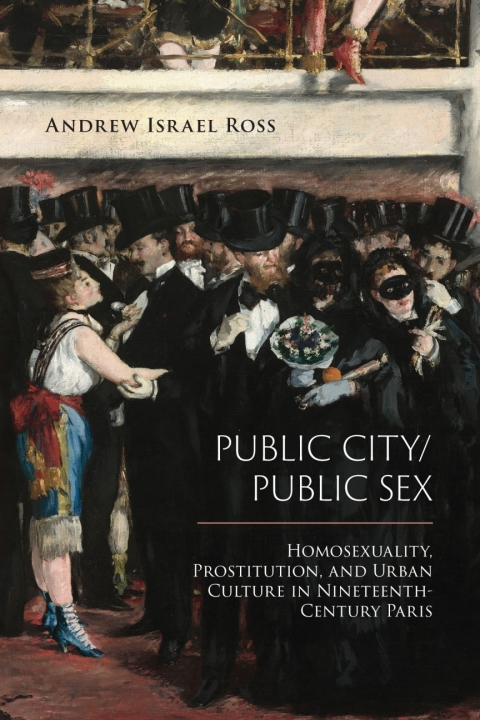 Cover image for book Public City/Public Sex