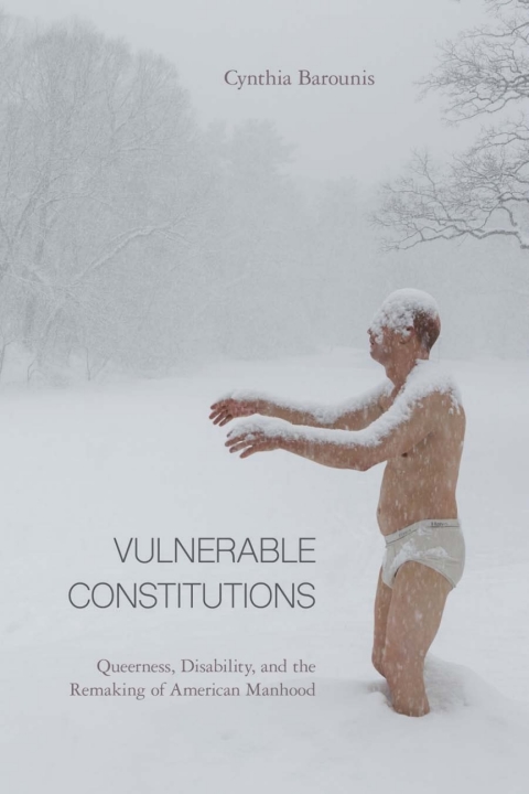 Cover image for book Vulnerable Constitutions