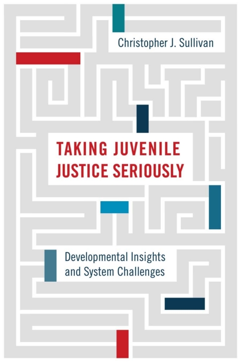 Cover image for book Taking Juvenile Justice Seriously