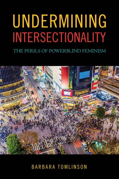 Cover image for book Undermining Intersectionality