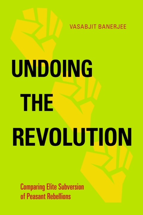 Cover image for book Undoing the Revolution