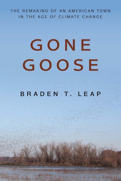 Cover image for book Gone Goose