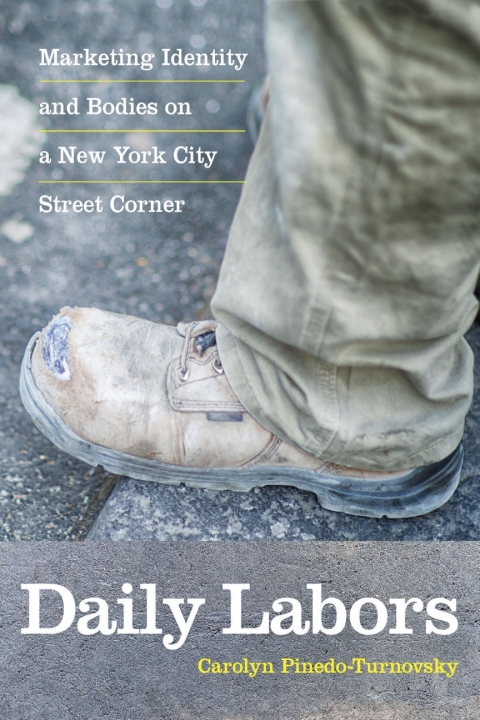 Cover image for book Daily Labors